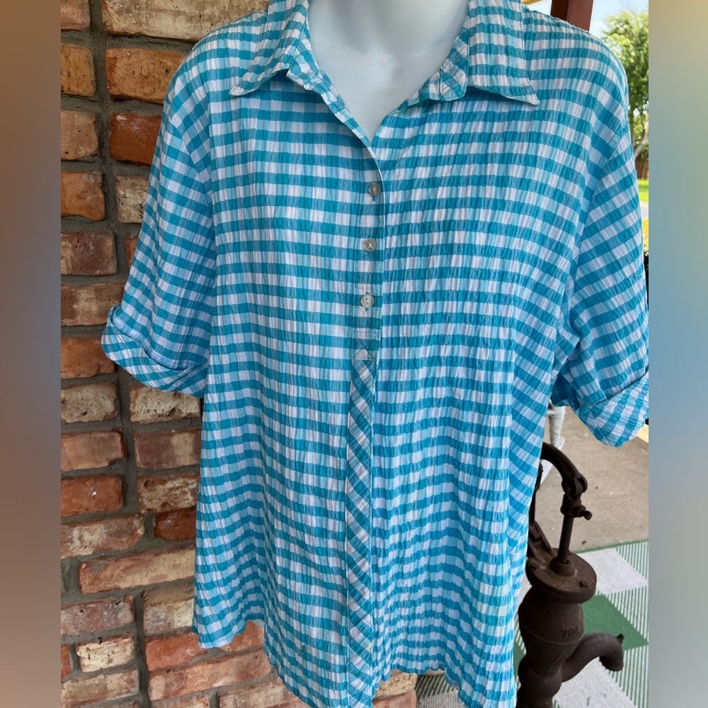 Rebecca Malone plus size sear sucker Blue and White checkered Shirt